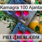 Kamagra 100 Ajanta 14